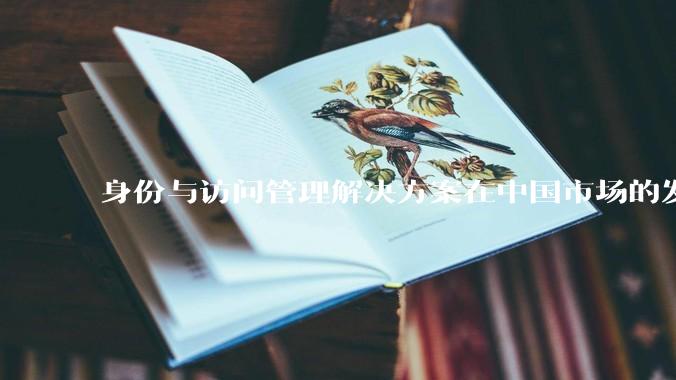 身份与访问管理解决方案在中国市场的发展前景？